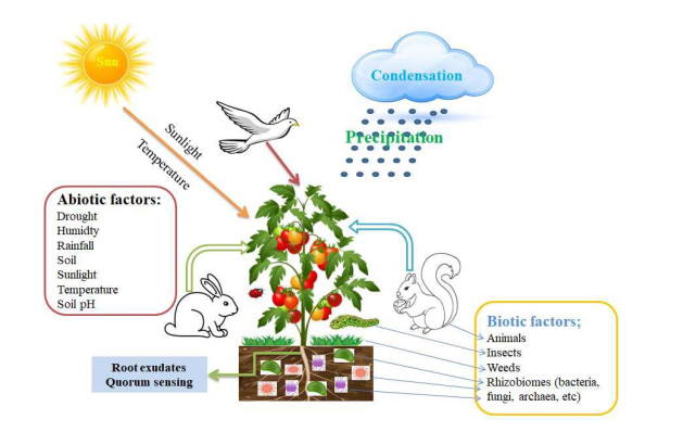 Eco-Taxonomic Profile of an Iconic Vermicomposter — the 'African