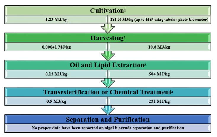 Microalgae harvesting and processing a literature review