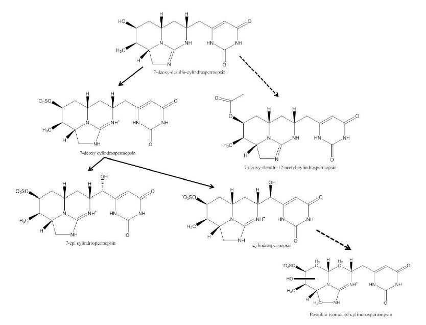 Cylindrospermopsin