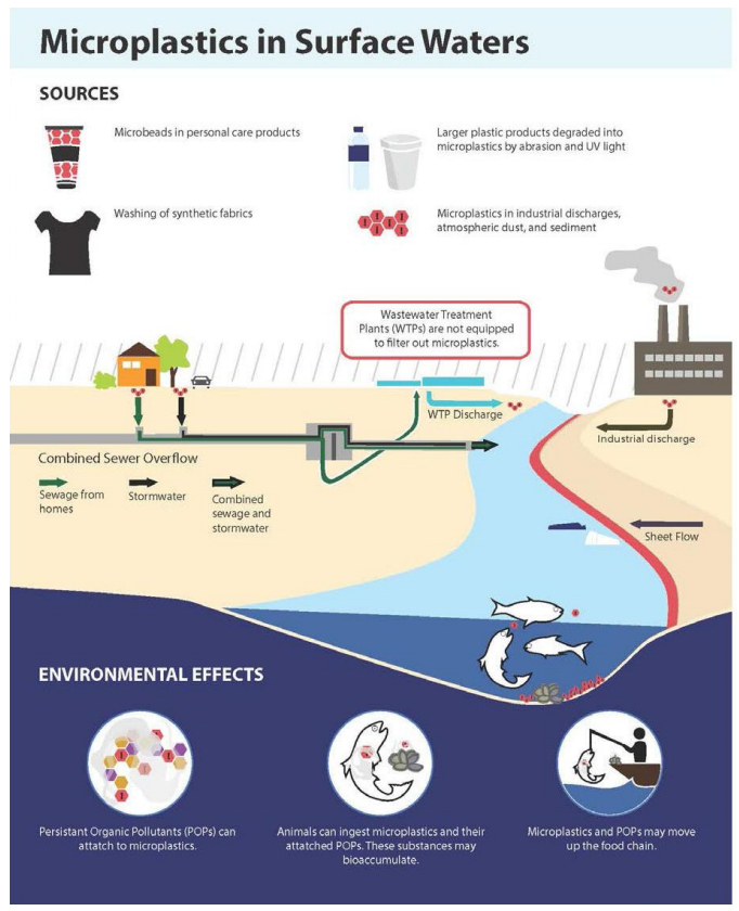 Microplastics in urban New Jersey freshwaters: distribution, chemical ...