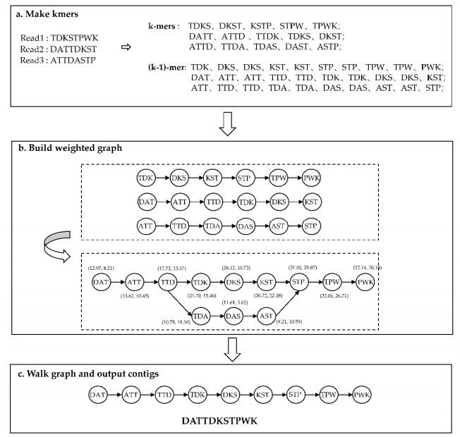 Antibody sequences assembly method based on weighted de Bruijn graph