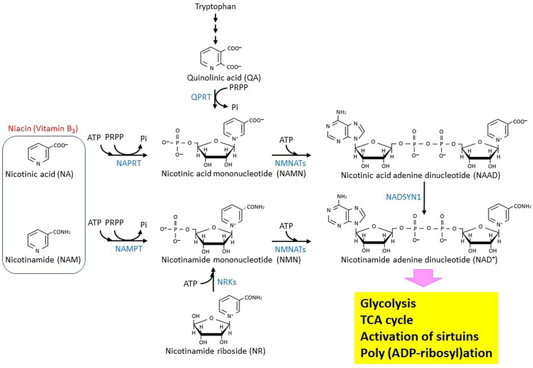 molsci-07-01-002-g001.png