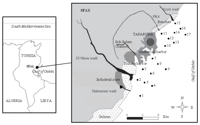 Scp Area 47 Map