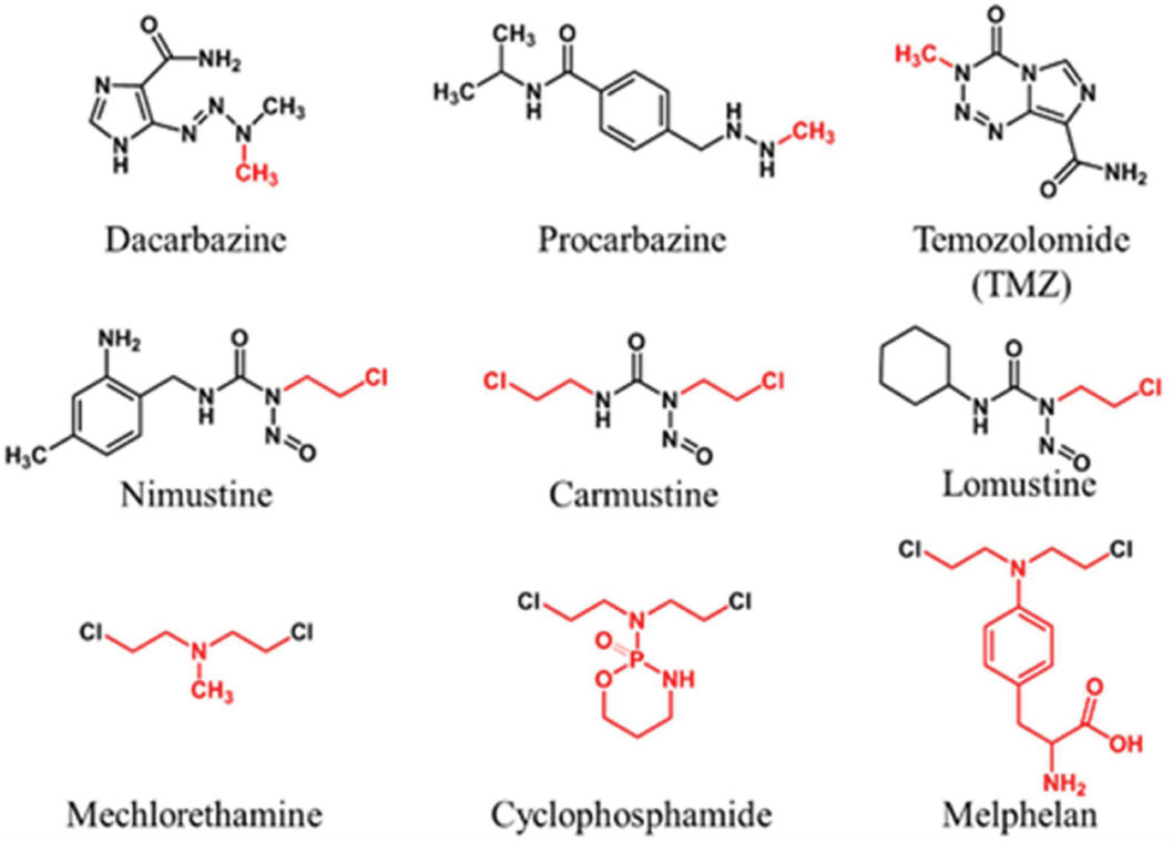 Image result for DNA alkylation by nitrosaurs